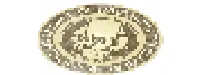 teeVillain